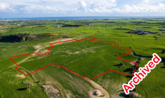 Shared agricultural field in Tersefanou, Larnaca 