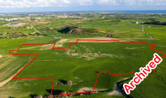 Shared agricultural field in Tersefanou, Larnaca 