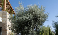 Beautiful 6 bedrooms house with swimming pool for sale in Peyia