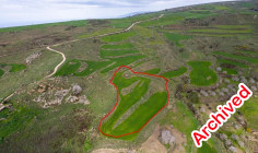 Beautiful agricultural for sale in Ineia