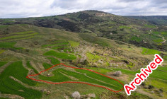 Beautiful agricultural for sale in Ineia