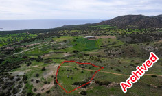 Field in Ineia, Paphos 