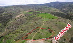 Field in Ineia, Paphos 