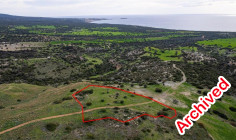 Field in Ineia, Paphos 