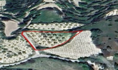 Residential 1640 m2 for sale in Koili, Paphos