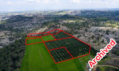 Six adjacent fields in Politiko, Nicosia 
