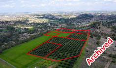 Six adjacent fields in Politiko, Nicosia 