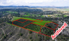 Six adjacent fields in Politiko, Nicosia 