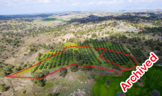 Two adjacent livestock fields in Politiko, Nicosia 