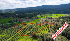 Two adjacent livestock fields in Politiko, Nicosia 