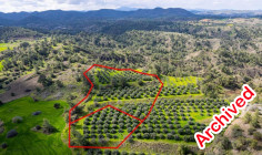 Two adjacent livestock fields in Politiko, Nicosia 