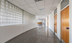 Commercial (office) in acropoli, Nicosia for rent 