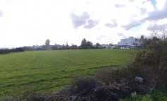 Residential 21000 m2 for sale in Yeroskipou, Paphos