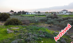 Field in Xylofagou, Larnaca , Larnaca