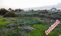Field in Xylofagou, Larnaca , Larnaca
