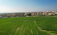 Two adjoining fields in Tersefanou , Larnaca , Larnaca