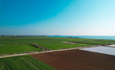 Three fields in Softades, Larnaca , Larnaca Three fields in Softades, Larnaca , Larnaca