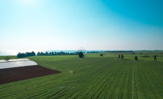 Three fields in Softades, Larnaca , Larnaca Three fields in Softades, Larnaca , Larnaca