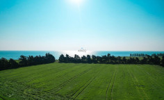 Three fields in Softades, Larnaca , Larnaca Three fields in Softades, Larnaca , Larnaca