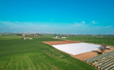 Three fields in Softades, Larnaca , Larnaca Three fields in Softades, Larnaca , Larnaca