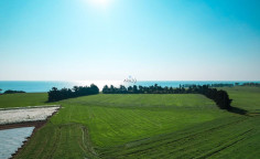 Three fields in Softades, Larnaca , Larnaca Three fields in Softades, Larnaca , Larnaca