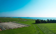 Three fields in Softades, Larnaca , Larnaca Three fields in Softades, Larnaca , Larnaca