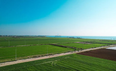 Three fields in Softades, Larnaca , Larnaca Three fields in Softades, Larnaca , Larnaca