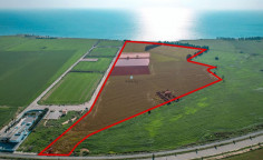 Three fields in Softades, Larnaca , Larnaca