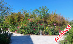 Luxury 6-bedroom villa for rent in Tremithousa, Paphos 
