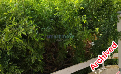 Spacious 2 bed furnished apartment to rent in Neapolis