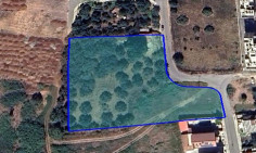 Residential 5732 m2 for sale in Zakaki, Limassol