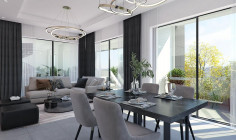 Large 2 beds penthouse for sale in Drosia
