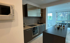 2 bedroom amazing apartment with lake and palm view 