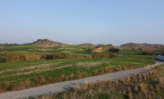 (residential) in Avdellero, Larnaca for sale , Larnaca