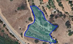 Beautiful land for sale in Foinikaria, Limassol
