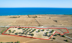 Touristic land in Mazotos, Larnaca , Larnaca