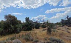 Large development land plot for sale in Moni , Limassol