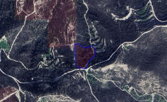 Land 12041 m2 for sale in Asgata, Limassol