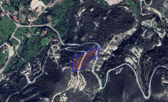 Large field for sale in peaceful Asgata village , Limassol