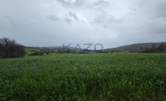 Residential 5017 m2 for sale in Monagroulli, Limassol
