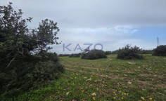 Large 6000m2 field for sale in Pentakomo , Limassol