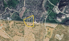 Large 6000m2 field for sale in Pentakomo , Limassol