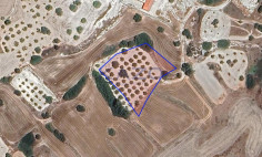 Large Pentakomo field plot for sale 3011m2 , Limassol