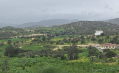 Large Pentakomo field plot for sale 3011m2 , Limassol