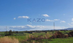 Large 2007m2 field for sale in Peristerona village , Nicosia