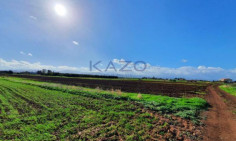 Large residential field for sale Peristerona village , Nicosia
