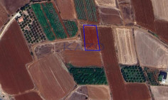 Large residential field for sale Peristerona village , Nicosia