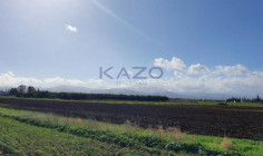 Large residential field for sale Peristerona village , Nicosia