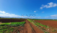 Large residential field for sale Peristerona village , Nicosia