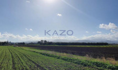 Large residential field for sale Peristerona village , Nicosia